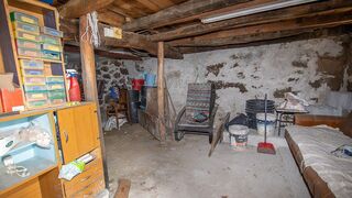 -2124891035098_b132d4cf-d2b6-46a8-aaac-aed9373b02a0.jpg