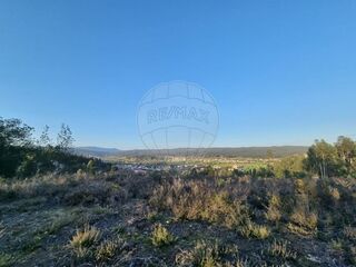 -2124901040032_0883ac17-85f6-4066-87cb-4aaf66c6cf0e.jpg