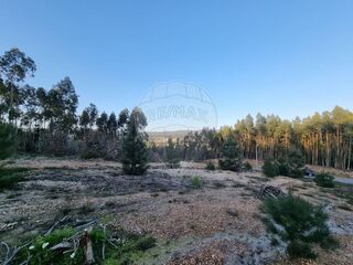-2124901040032_40031411-8ded-4107-b668-90bc855b3b35.jpg