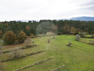 -2124901045019_4155bf57-0c38-450a-9471-e3414fa405b1.jpg