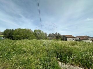 -2124901045029_df2aac98-4fed-4ef9-92ab-2794e99994b3.jpg