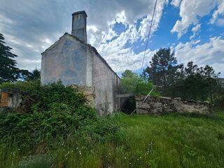 -2124901045033_8e9480fa-e87b-46ca-81f6-35da50948ed6.jpg