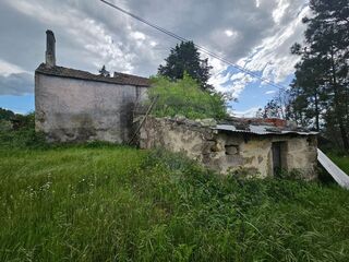 -2124901045033_c718ce22-904e-46ad-819e-258dce2a8bf5.jpg