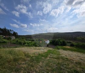 -2124911006828_d813cf56-ecfd-4588-97c7-e595b33a73a4.jpg