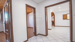 -2124911015111_20cfb1f2-f67d-4c0f-8dcd-bb38a5e9a328.jpg