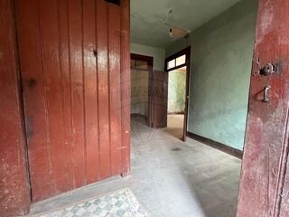 -2124961006114_a01037a0-489f-4fbc-b72b-685acb23bdd4.jpg