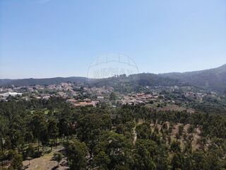 -2124961028012_1dfecf51-8613-45a6-a9e7-1e8202f37f7d.jpg