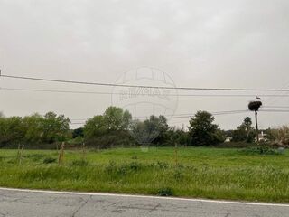 -2124971021017_3bf77176-3638-4900-9f48-36a14889edb5.jpg