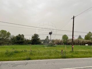 -2124971021017_8f0124a1-3708-44ab-ab2f-8e132db97b0e.jpg