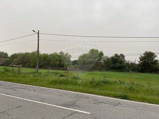 -2124971021017_9156265d-a2c7-44ec-a01c-7d45922acfb8.jpg