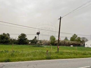 -2124971021017_9d4dfe45-0018-4521-b4e8-e5d85bc928eb.jpg