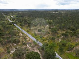 -2124971042053_b7d02521-45d1-42df-81a8-a74840495ab3.jpg