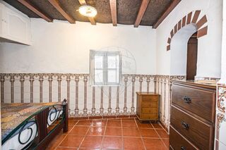 -2124981070009_0c6efbd6-7f8f-40d3-b351-916745d372f7.jpg