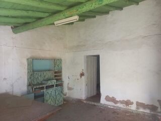 -2125041039087_de7f34f6-1d8e-4f8f-8709-bec66395d45c.jpg
