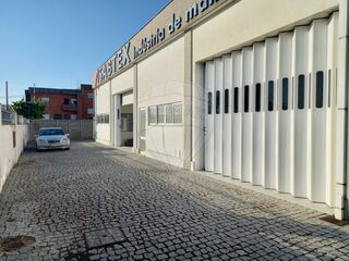 -2125061024042_ed99430a-3813-4900-8711-37f6e69dc726.jpg