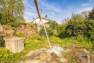 -2125061219001_2c6ab1c5-105c-47c6-853f-bd7a53e7bef9.jpg