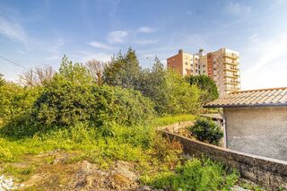 -2125061219001_9e72abb1-fbb0-44fe-a1cf-aa604e124987.jpg