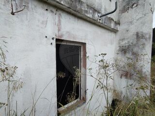 -2125091006471_6a066e80-d5b7-495c-9f90-2ca8ef57b0c3.jpg