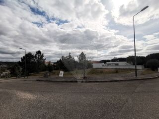 -2125091010922_3f3dbe34-0db3-4777-96a7-5125881c46e1.jpg