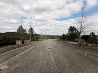-2125091010922_53c5c91a-eca7-44da-9052-0121232420b7.jpg