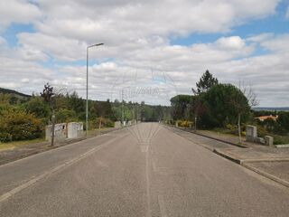-2125091010922_58c6b742-0b4d-493e-b935-630f85418584.jpg