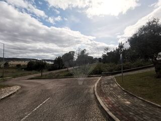 -2125091010922_66da0d5f-c03a-47db-b419-88e573b5c452.jpg
