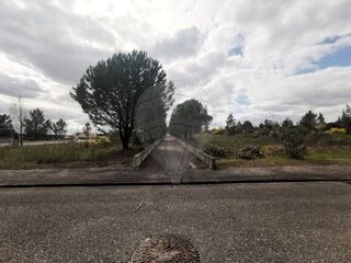 -2125091010927_0708e26f-79b2-4b8c-8c86-846943ff624c.jpg