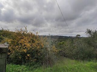 -2125091016060_23d5cf97-e86f-45a9-8414-83ffd3ed7857.jpg