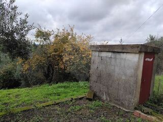 -2125091016060_de6aa703-f4e5-4a67-8c68-53729b9f3ab8.jpg