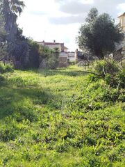 -2125091026019_5b856fd9-4daf-4ff7-a396-b4e0a368b6cd.jpg