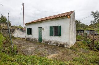 -2125091037075_4fff67a6-5947-4d08-86d9-2a4c76478951.jpg