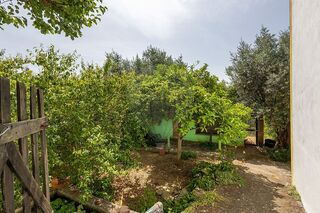 -2125091037077_dd1eda24-ee98-470c-9e4f-223fe062b04a.jpg