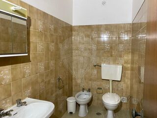 -2125091043031_af79ec28-09a1-45a4-8271-43a0bdf129e5.jpg
