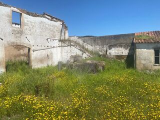 -2125091064002_45d7ce8f-7d96-40dc-9de8-71f36bda37f7.jpg