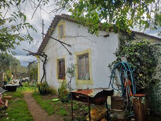-2125091065002_06de2477-37d5-4adc-8bbd-2e32805fc713.jpg