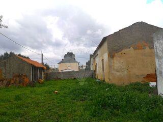 -2125091065003_2061de09-8275-4a49-b227-8c929598f0db.jpg
