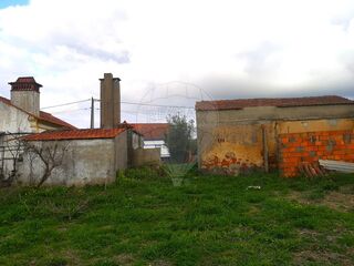 -2125091065003_caec330d-c113-472a-b19c-f12cdebb55f9.jpg