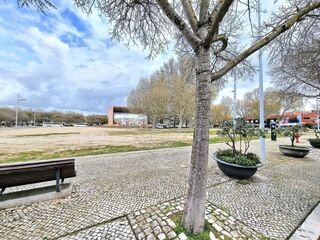 -2125111015114_b68b3b6c-e2c4-43ab-9e60-4ffb5febe146.jpg