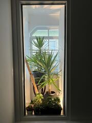 -2125111146054_ab9bc0c7-1e27-4162-8a79-36ea16aae5c3.jpg