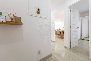 -2125111161005_b1a09877-ad6a-4e38-b7fe-0e17b133bea4.jpg
