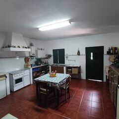 -2125151023124_0e151562-adb0-484c-b0a6-cf219de1e5f1.jpg