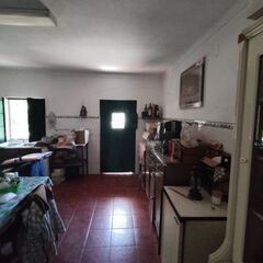 -2125151023124_575e1807-543e-4e3a-bb04-1d729f4abc4c.jpg