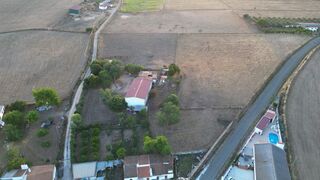 -2125151023124_bfa00a20-2721-4cef-8abd-83bed25a9a8c.jpg