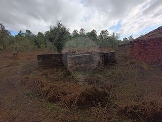 -2125151023189_4758362c-1bde-4222-9d83-dc0ac6c6f254.jpg