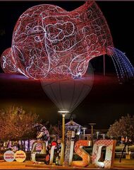 -2125151023199_7bdcc0ee-f4cb-4bb5-ac82-c6c90bae63f8.jpg
