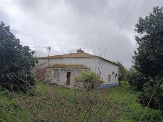 -2125151023229_6b0c0fb4-55fd-46f4-a3d5-6c75298f452a.jpg