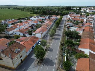 -2125151025039_94224332-bcb0-47fa-a6d1-5eaa79aab0f6.jpg