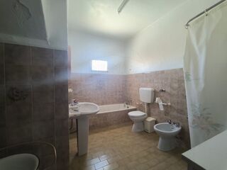 -2125151033031_570ab97b-b763-4f54-9a21-e3daf9ffd1f5.jpg