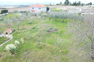 -2125151050003_8fd3feca-7428-4d75-84b3-da2fb4fd84a3.jpg