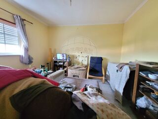 -2125151050005_5134f513-4252-45a0-86db-8bb242f88abf.jpg